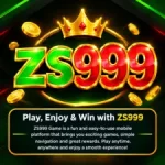 ZS999 Game